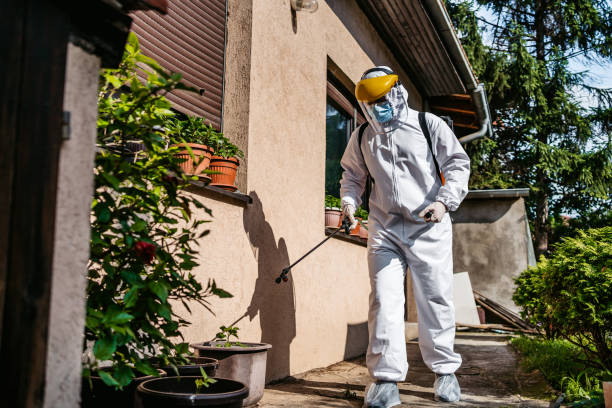 Rio Bravo, TX Pest Control Company