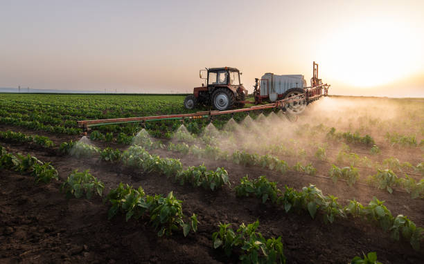 Best Best Pest Control Companies  in Rio Bravo, TX
