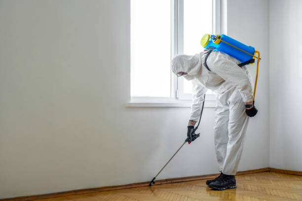 Best Commercial Pest Control Services  in Rio Bravo, TX