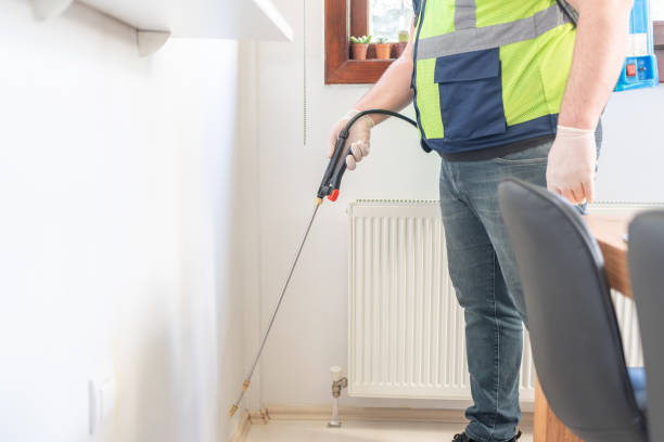 Best Residential Pest Control  in Rio Bravo, TX