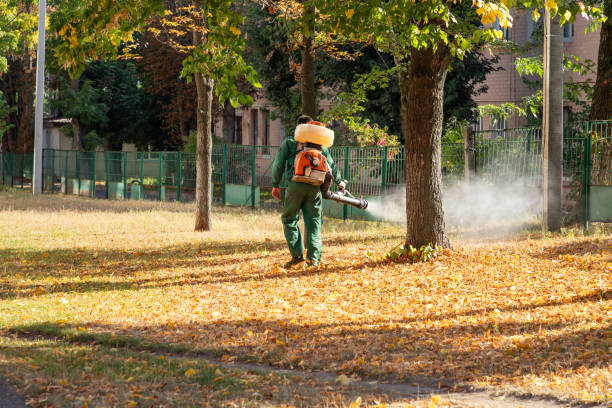 Best Exterminator Services  in Rio Bravo, TX